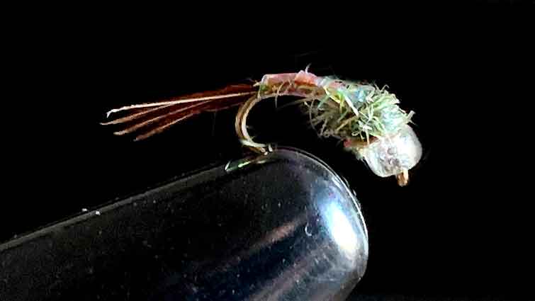 9 Best Fly Fishing Flies for Brown Trout