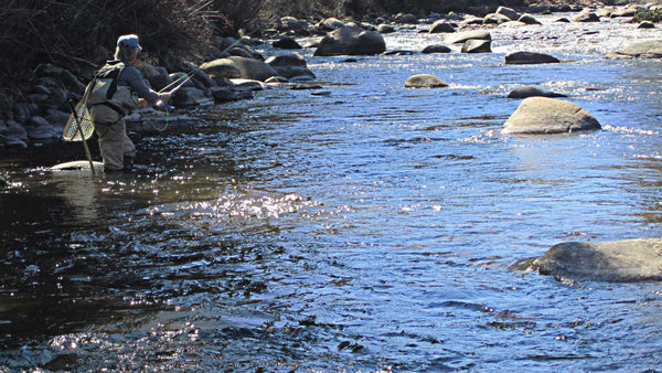 Man fly fishing in River