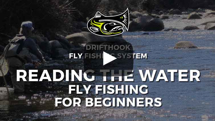 How to read Water Fly fishing