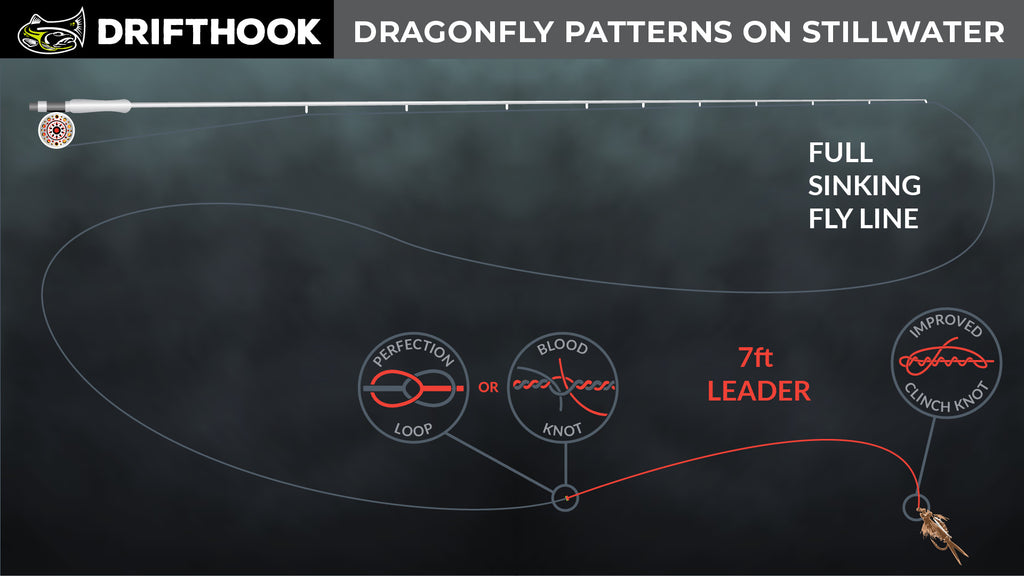 Dragonflies Nymph Leader Setup for Fly Fishing Still Water