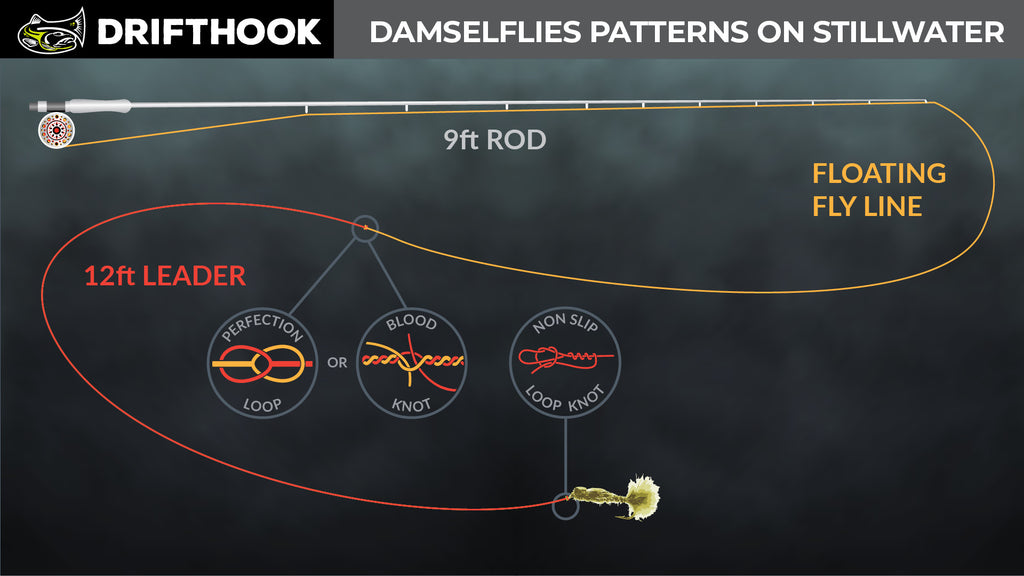 Damselflies Nymph FIy Fishing Leader Setup for Still Waters