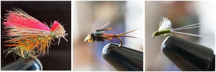 Right Fork Huntington Creek Utah Fly Fishing Flies