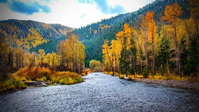 Rock Creek Montana Fly Fishing