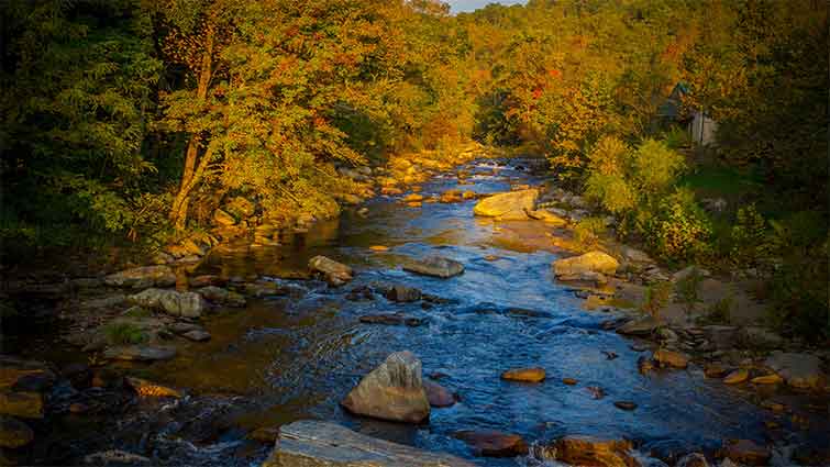 Rocky Broad River North Carolina Fly Fishing