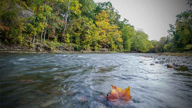 Rocky River Ohio Fly Fishing