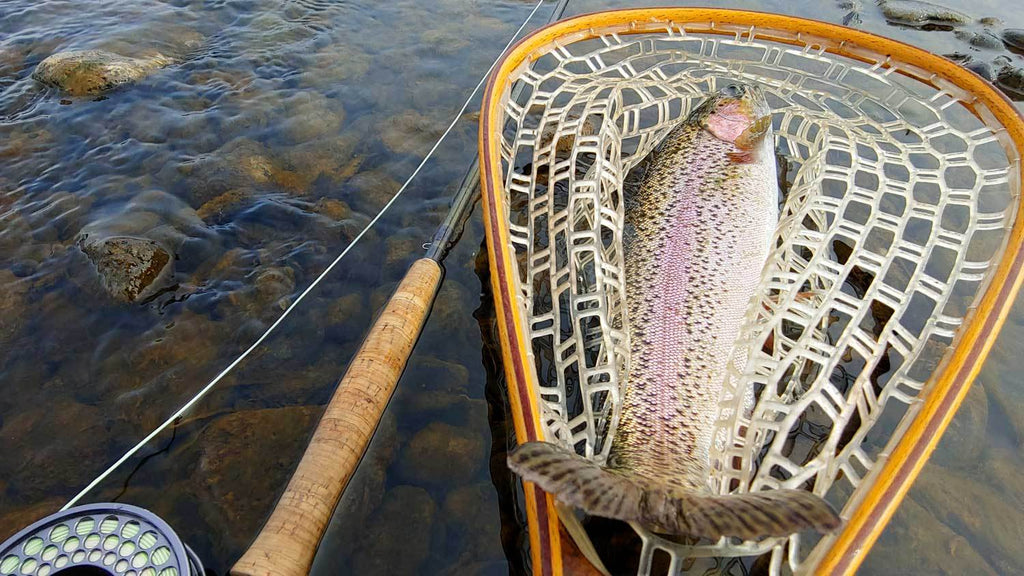 How To Fly Fishing For Lake Trout - Strategy, Gear, Tactics