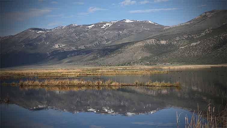 Ruby Lake National Wildlife Refuge Nevada Fly Fishing