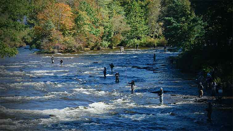 Salmon River New York Fly Fishing 