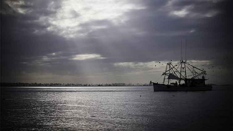 Saltwater Flats Mississippi Fly Fishing