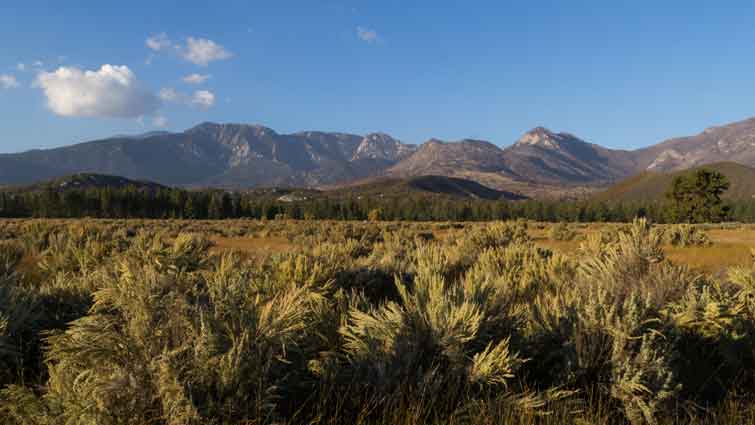 San Jacinito Mountains Fly Fishing Southern California