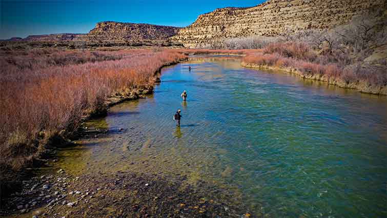 San Juan River New Mexico Fly Fishing