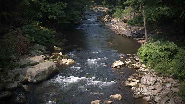 Savage River Maryland Fly Fishing