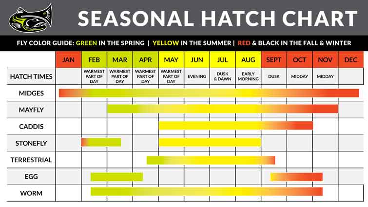 Seasonal Hatch Chart for Fly Fishing Flies in the USA