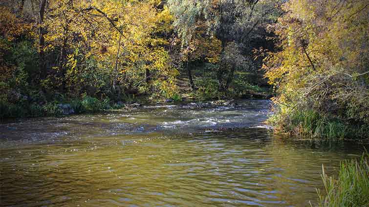 Second Creek West Virginia Fly Fishing