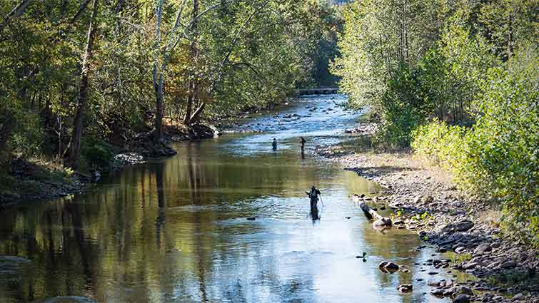 Seneca Creek West Virginia Fly Fishing