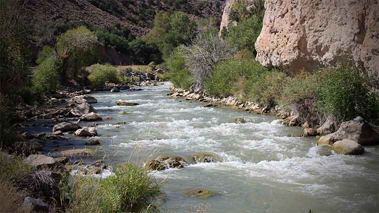 Sevier River Utah Fly Fishing