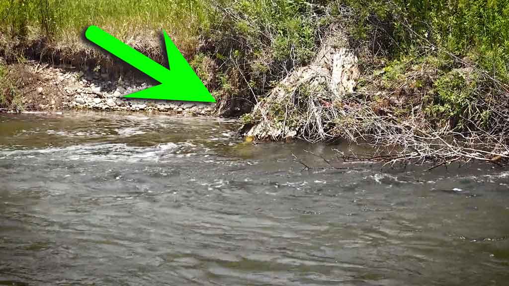 shelter for trout when fly fishing