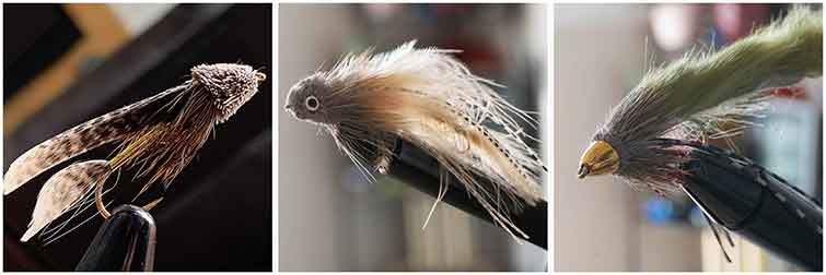 Recommended Fly Patterns for the Shenandoah River, Virginia