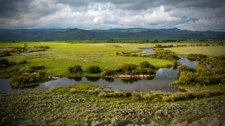 Silver Creek Idaho Fly Fishing