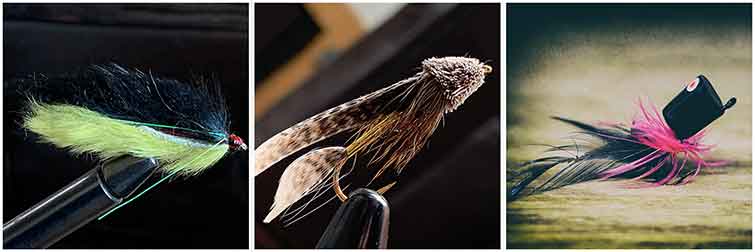 Silver Pheasant Feathers - Guided Fly Fishing Madison River