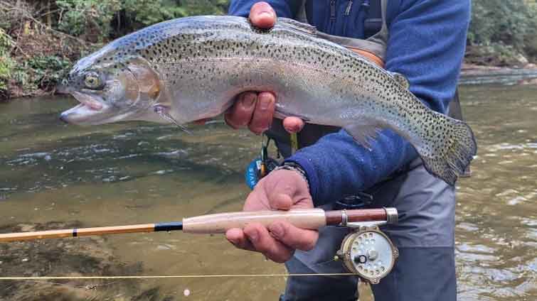 4 Things to Consider Before Picking A Fly Reel for Trout - Drifthook