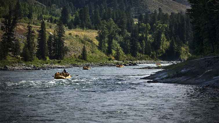 Snake River Wyoming Fly Fishing