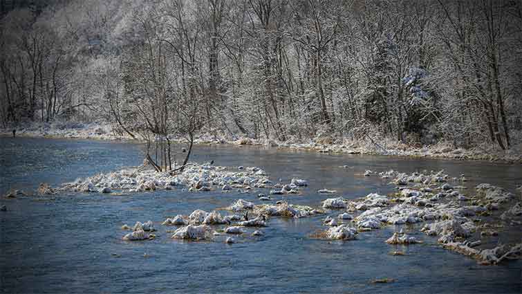 South Holston River Tennessee Fly Fishing