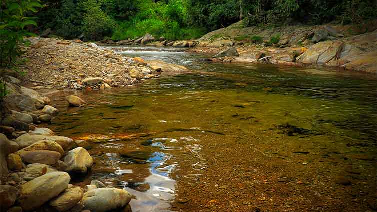 North Toe River - Southern Appalachian Anglers