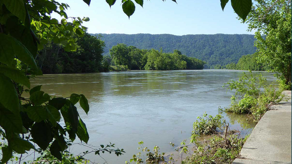 South Holston River Tennessee