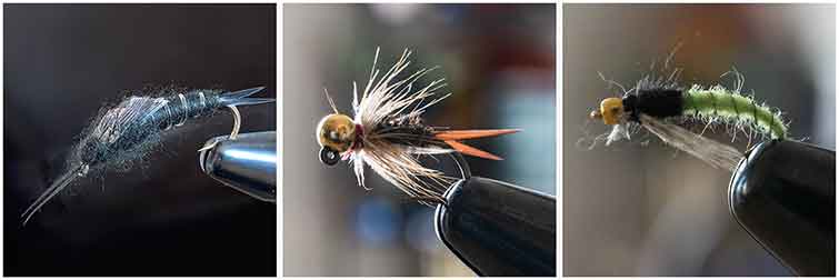 Fly Patterns for the Spokane River Washington