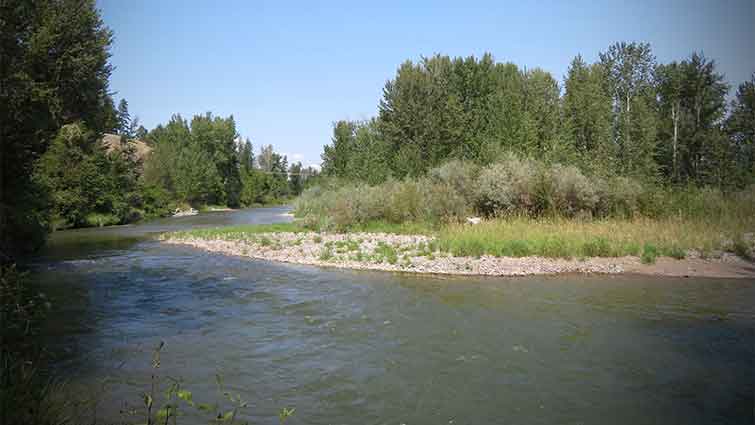 Stillwater River Montana Fly Fishing