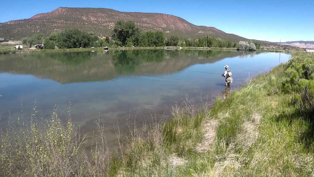 Stillwaters Fly Fishing