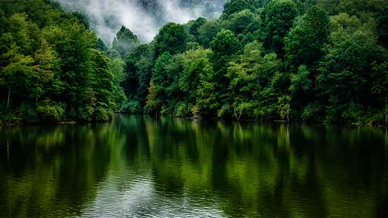 Stonewall Jackson Lake Tailwater West Virginia Fly Fishing