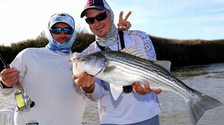 Fly Fishing For Striped Bass: All You Need To Know