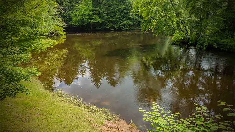 Sugar River New Hampshire Fly Fishing