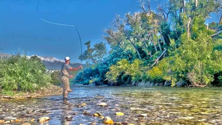 Summer Fly Fishing