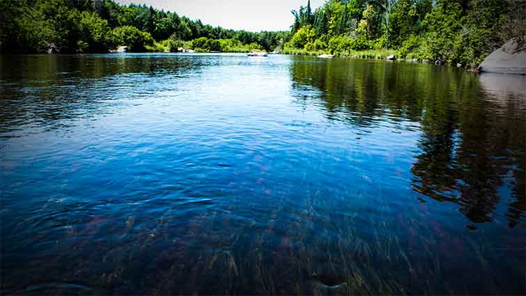 The Wolf River Wisconsin Fly Fishing