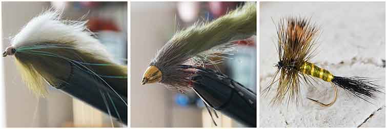 Tombigbee River Alabama Fly Fishing Flies