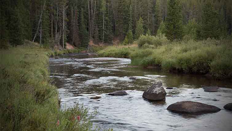 Tongue River Wyoming Fly Fishing