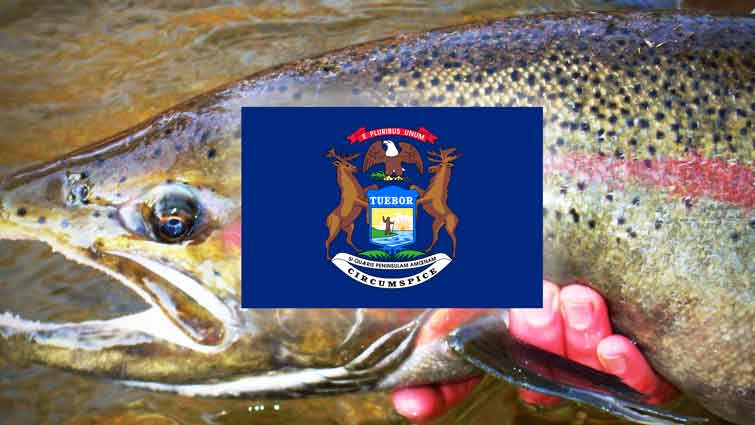 12 Best Places to Fly Fish in Michigan: Maps Included - Guide Recommended