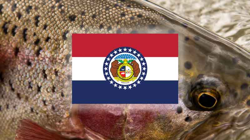 Best Fly Fishing in Missouri