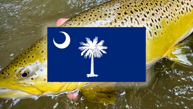 Best Fly Fishing in South Carolina