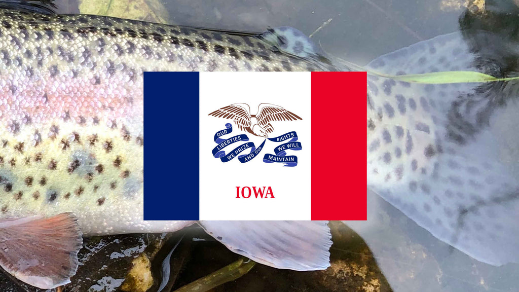 Best Fly Fishing in Iowa