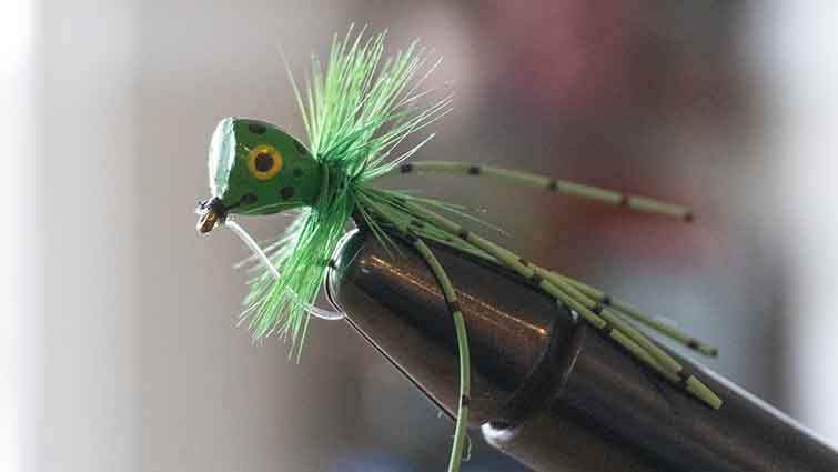 Unlocking the Secrets of Topwater Bass Fishing: Strategies and Fly Sel