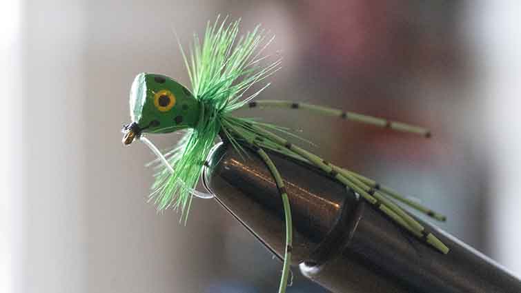 Bass Popper Frog, Fly Fishing Equipment