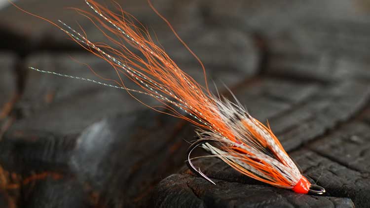 Traditional Wet Fly for Salmon