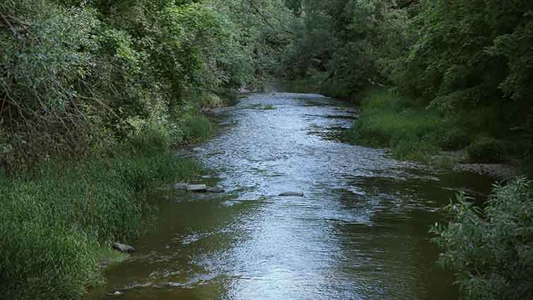 Trammel Fork Kentucky  Fly Fishing