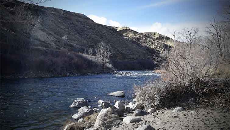 Truckee River Nevada Fly Fishing