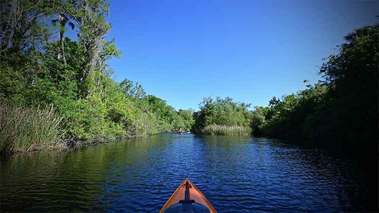 Turner River Florida Fly Fishing