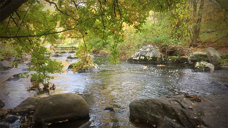 Turtle River North Dakota Fly Fishing